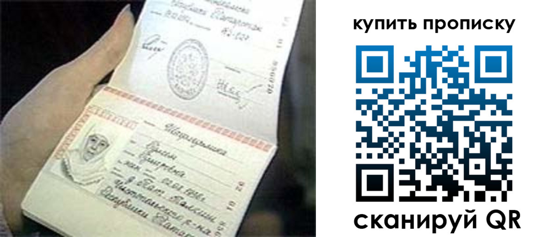 прописка поиск в Новозыбкове